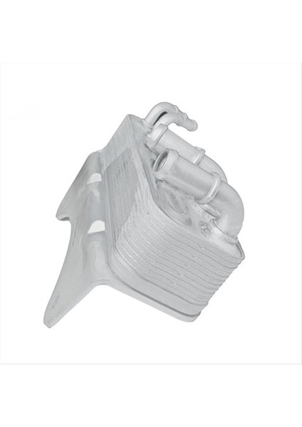 T21-1301120 Şanzıman Yağı Soğutucu Chery Tiggo5 Tiggo 5 Motor Yağı Soğutucu Yağ Radyatörü (Yurt Dışından) indirimleri