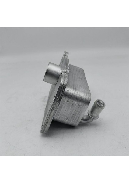 Petrol Soğutucu LR075630 LR073678 Jaguar Land Rover Range Rover Velar Için JDE382 (Yurt Dışından) modelleri