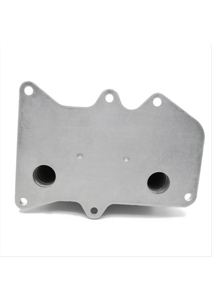 264102F020 Yağ Radyatör Soğutucu Base Yağ Soğutucu Montajı Hyundai Kıa 264102F000 (Yurt Dışından) fırsatları
