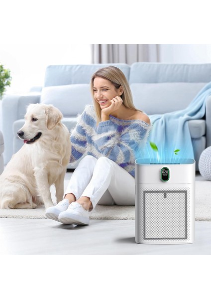 HY4866 Morento HY4866 / Yiou M1 Hava Temizleyici Hava Temizleme Parçaları (Yurt Dışından) indirimleri