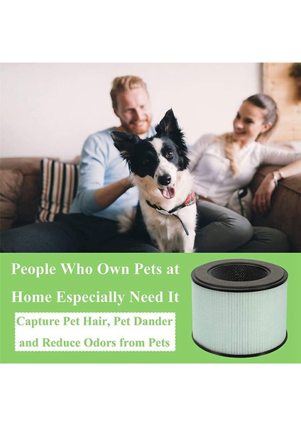 4 Paket Değiştirme Hepa Filtresi Parçu BS-08 için Uyumlu 3&#39 ü 1 Filtrasyon Yüksek Verimli Aktif Karbon HEPA Filtresi (Yurt Dışından) fiyatları