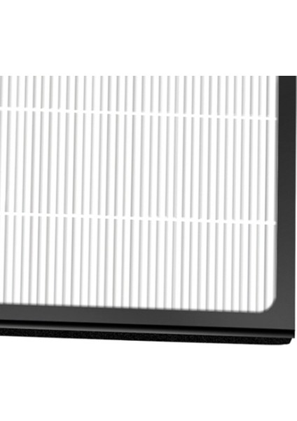 Blueair Hava Arıtma Pro M Pro L Pro Xl Için 2x Çok Fonksiyonlu Değiştirilmiş Hepa Aktif Filtre (Yurt Dışından) indirimleri