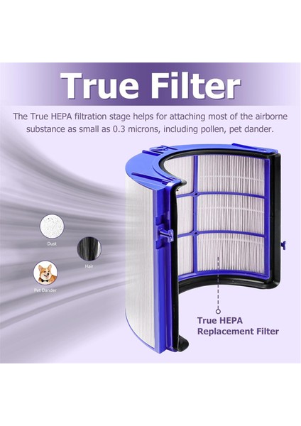 Dyson Dyson DP04 HP05 TP05 HP04 TP04 HAVA ARAMAK H13 TRUE HEPA Filtre Yüksek Verimli Aktif Karbon Filtresi (Yurt Dışından) indirimleri