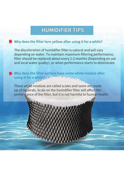 Holmes HWF62 Nemlendirici Filtresi A Holmes Modelleri için 2x Filtre Değiştirme HM1701 HM1761 HM1300 ve HM1100 (Yurt Dışından) modelleri