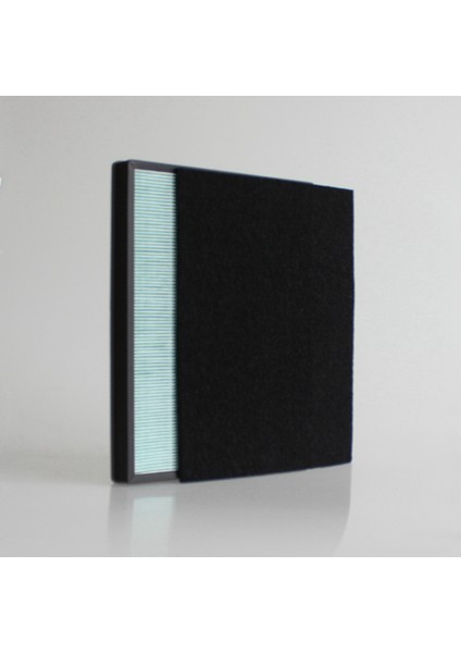 Coway Hava Temizleyici AP-1009CH AP-1008DH AP-1012GH AP-4072DH Aksesuarlar Için 2x Filtre Karbon Fiber (Yurt Dışından) fırsatları