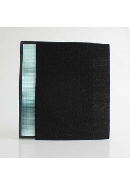 Coway Hava Temizleyici AP-1009CH AP-1008DH AP-1012GH AP-4072DH Aksesuarlar Için 2x Filtre Karbon Fiber (Yurt Dışından) indirimleri