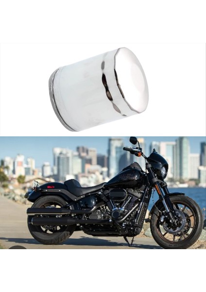 Motosiklet Yağ Filtresi Için Harley Şişman Çocuk Düşük Binici Streetfighter Yol Kral 2018-2021 Motosiklet Aksesuarları (Yurt Dışından) fırsatları