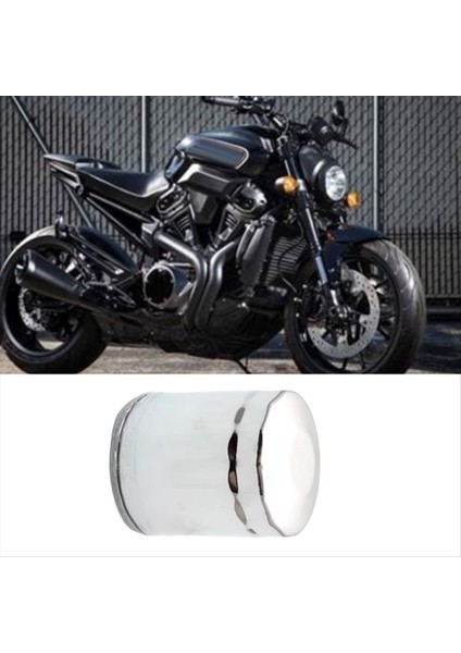 Motosiklet Yağ Filtresi Için Harley Şişman Çocuk Düşük Binici Streetfighter Yol Kral 2018-2021 Motosiklet Aksesuarları (Yurt Dışından) indirimleri