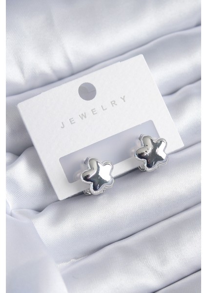 Gümüş Renk Yıldız Model Yıldız Model Pirinç Kadın Küpe - Lisinya