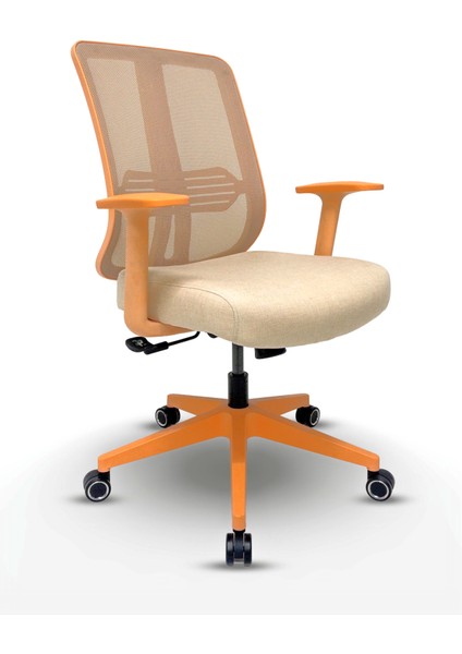 // Comfort Pastel Çalışma Koltuğu Yönetici Koltuğu Genç Odası Çalışma Koltuğu