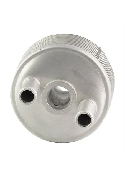 Motor Yağı Soğutucu Radyatör Şanzıman Soğutucu 09G409061 09A317019 Audi Tt A3 Volkswagen Beetle Jetta Golf Passat (Yurt Dışından)