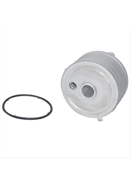 Motor Yağı Soğutucu Radyatör Şanzıman Soğutucu 09G409061 09A317019 Audi Tt A3 Volkswagen Beetle Jetta Golf Passat (Yurt Dışından) modelleri