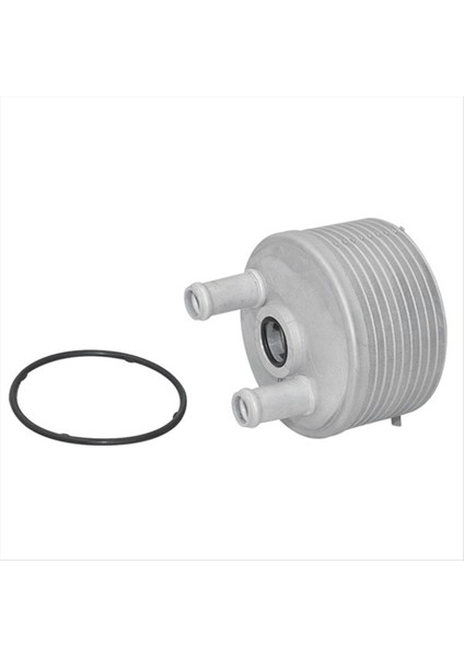 Motor Yağı Soğutucu Radyatör Şanzıman Soğutucu 09G409061 09A317019 Audi Tt A3 Volkswagen Beetle Jetta Golf Passat (Yurt Dışından) fırsatları