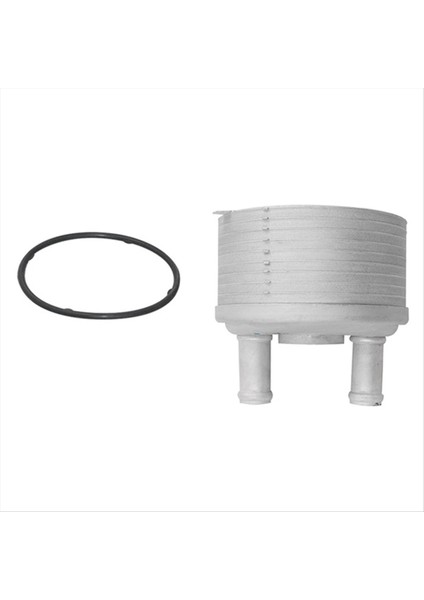 Motor Yağı Soğutucu Radyatör Şanzıman Soğutucu 09G409061 09A317019 Audi Tt A3 Volkswagen Beetle Jetta Golf Passat (Yurt Dışından) indirimleri