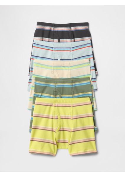 Erkek Çocuk Çok Renkli Organik Pamuk Külot (5'li)