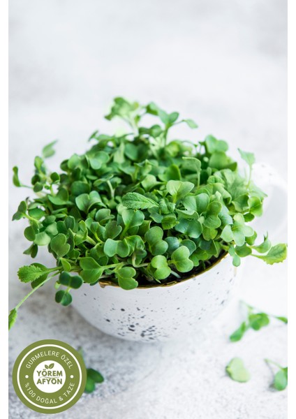 Yörem Afyon Meşhur Osmaniye Kadirli Yerli Tarım Gdo'suz Iri Kırmızı Turp Tohumu | 35GR. modelleri