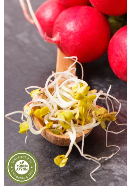 Yörem Afyon Meşhur Osmaniye Kadirli Yerli Tarım Gdo'suz Iri Kırmızı Turp Tohumu | 35GR. fiyatları