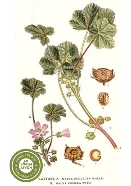 Yörem Afyon Aydın Yöresinden Iltihap Kurutucu Ebegümeci Yaprak, Irbik, Kazankarası (Malva Neglecta) | 65GR. fiyatları