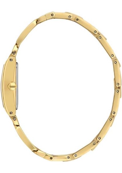 DK.3.10052-3 Kadın Kol Saati fiyatları