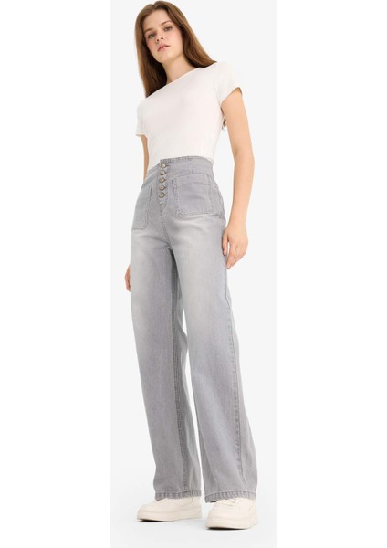 90's Wide Leg Yüksek Bel Uzun Jean Pantolon E9124AX25AU fiyatları