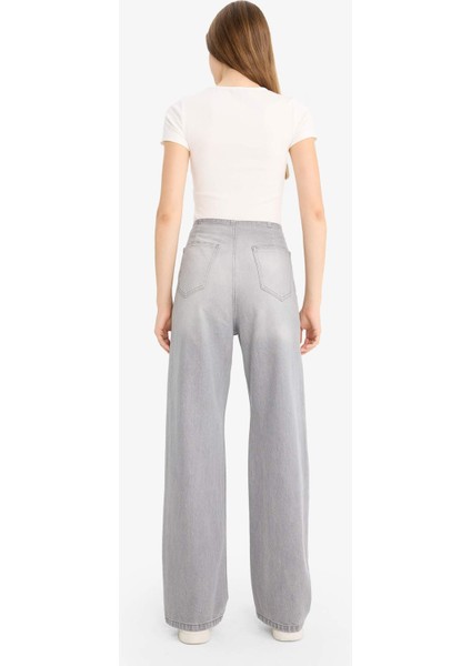 90's Wide Leg Yüksek Bel Uzun Jean Pantolon E9124AX25AU