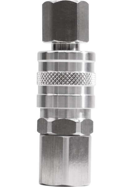 Paslanmaz Çelik Soda Co2 Hızlı Adaptör 3/8npt Iç Kadın Başı ve 1/4npt Iç Erkek Kafa Pnömatik Hızlı Adaptör (Yurt Dışından)