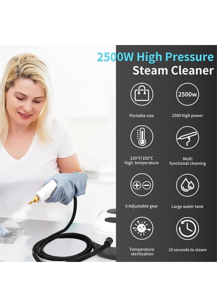 Elde Buhar Temizleyici Buhar Atış Temizleyici 2500W Sıcaklıklı Vapur Ev Pencereleri, Mutfak, Banyo Eu Fiş B (Yurt Dışından) indirimleri