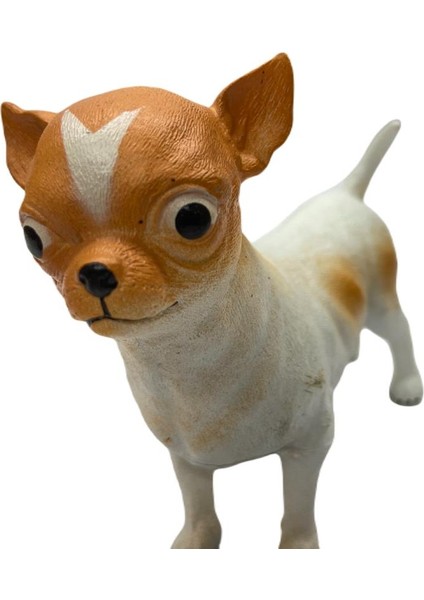 Soft Köpekler - Chihuahua / Şivava Cinsi Köpek - E013 (Lisinya) modelleri