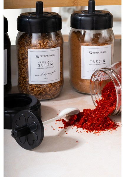12 Adet Baharat Seti (12 Parça Cam Baharatlık Hediye) fiyatları
