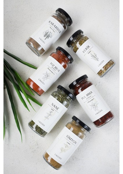 Çekirdek Aile Baharat Seti ( Cam Kavanoz)