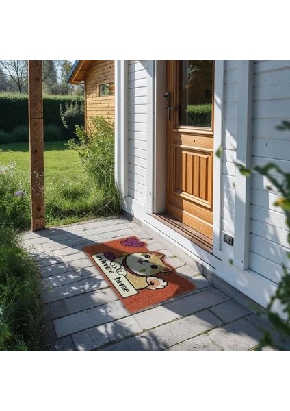 Sevimli Hayvan Tasarımlı Kapı Paspası
