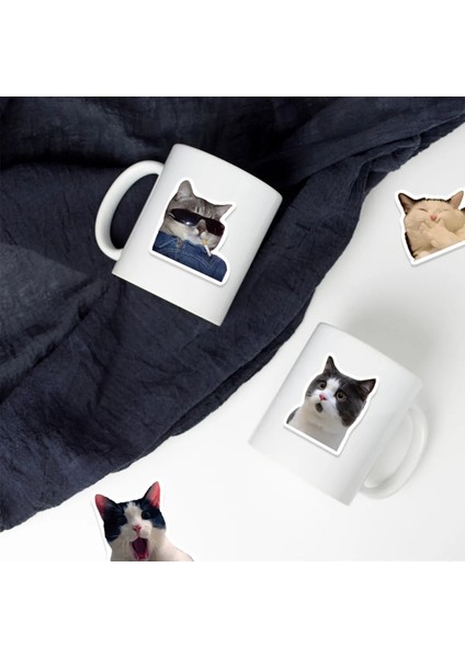 Çılgın Kediler Macbook Notebook Tablet Telefon Ajanda Laptop Defter Sticker Seti