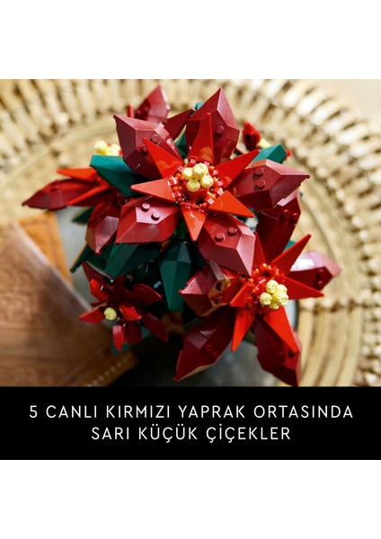 ® Botanicals Ponsetya 10370 - Yetişkinler için Çiçek Model Yapım Seti (608 Parça)