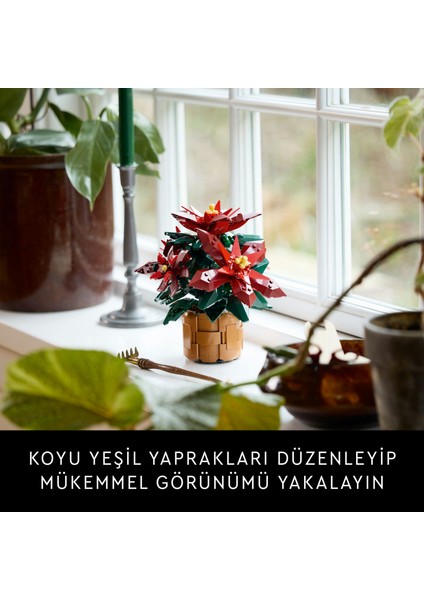 ® Botanicals Ponsetya 10370 - Yetişkinler için Çiçek Model Yapım Seti (608 Parça)