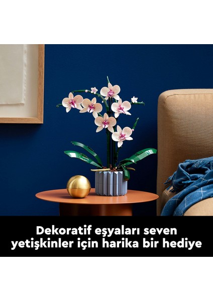® Botanicals Orkide 10311 - Yetişkinler için Koleksiyonluk ve Sergilenebilir Çiçek Modeli Yapım Seti (608 Parça)