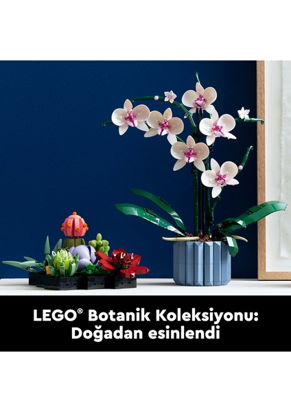 ® Botanicals Orkide 10311 - Yetişkinler için Koleksiyonluk ve Sergilenebilir Çiçek Modeli Yapım Seti (608 Parça)