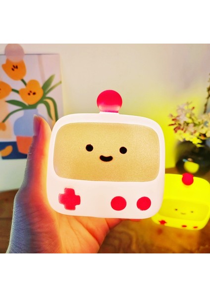 Işıklı Gece Lambası Doğum Günü Hediyesi (Yurt Dışından)