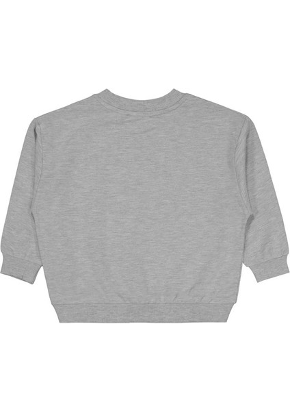 Cvl Team Etiketli 2-5 Yaş Sweatshirt fiyatları