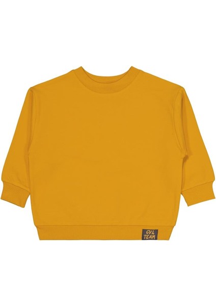 Cvl Team Etiketli 2-5 Yaş Sweatshirt fiyatları
