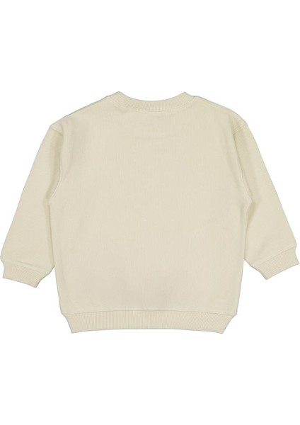 Karyoka Dikişli 2-5 Yaş Sweatshirt fiyatları
