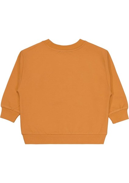 Cvl Team Etiketli 2-5 Yaş Sweatshirt fiyatları