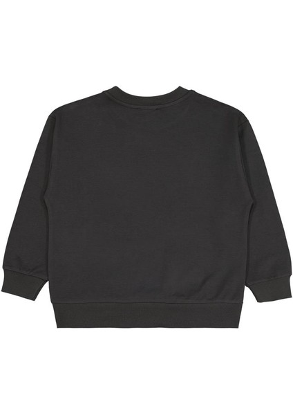 No Etiketli 6-9 Yaş Sweatshırt fiyatları