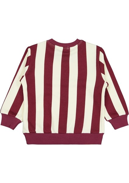 Çizgili Yıldız Baskılı 2-5 Yaş Sweatshirt