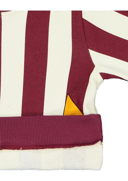 Çizgili Yıldız Baskılı 2-5 Yaş Sweatshirt modelleri