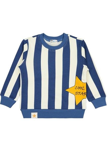 Çizgili Yıldız Baskılı 2-5 Yaş Sweatshirt fiyatları
