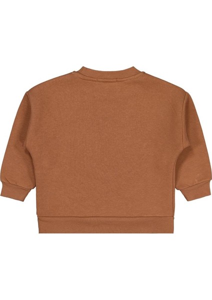 Go Team Tıger Baskılı 2-5 Yaş Sweatshirt fiyatları