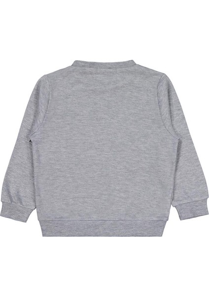 Köpek Baskılı 2-5 Yaş Sweatshirt