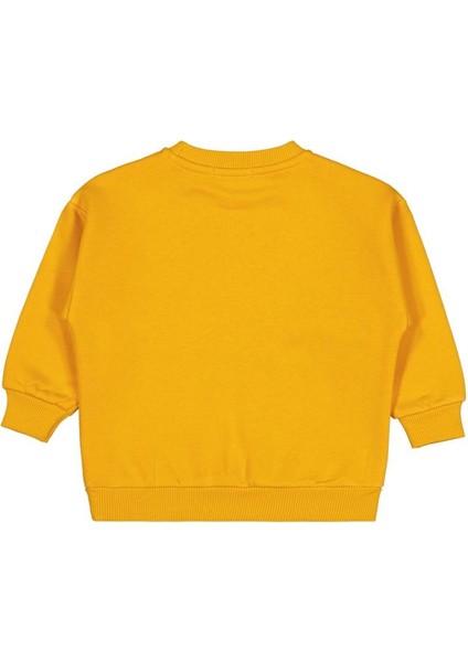 Panda Nakışlı2-5 Yaş Sweatshirt