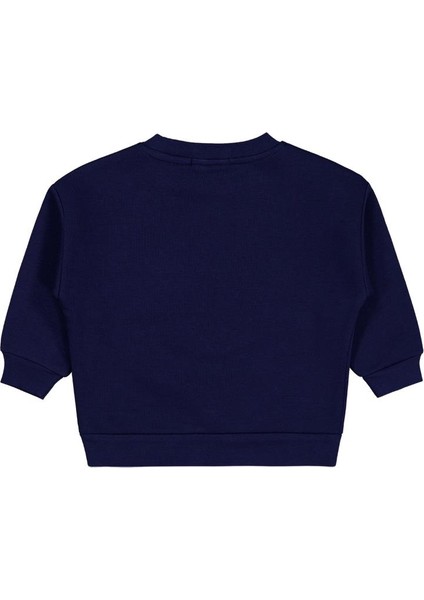 Go Team Tıger Baskılı 2-5 Yaş Sweatshirt fiyatları