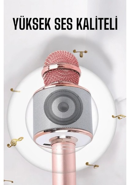Taşınabilir Bluetooth Karaoke Mikrofon: Hafıza Kart Girişli, Etkileyici Performans fırsatları